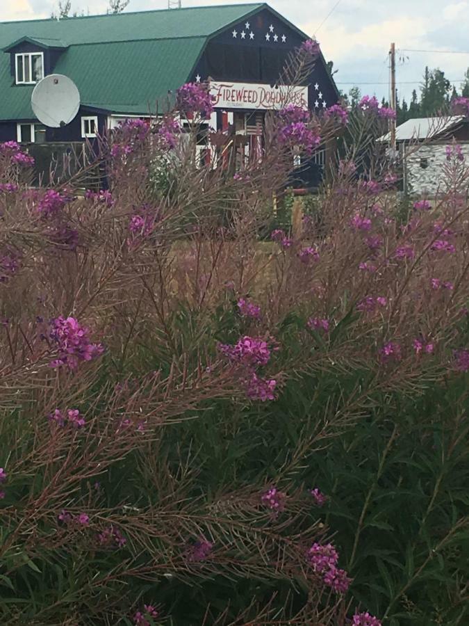 Fireweed Roadhouse Vila Nenana Exterior foto